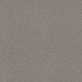 Shaw Floors - Carpet - Simply The Best  - Attainable - Clay
