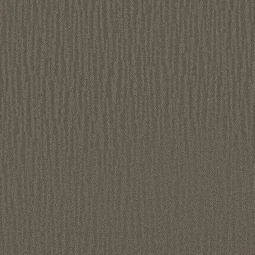 Shaw Floors - Carpet - Simply The Best Collection - Bandon Dunes - Charcoal