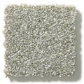 Shaw Floors - Carpet - Simply The Best  - Attainable - Clay