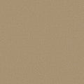 Shaw Floors - Carpet - Classics Collection  - Awaken Spirit I 12' - Classic Buff