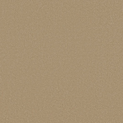 Shaw Floors - Carpet - Classics Collection  - Awaken Spirit II - 12' - Classic Buff