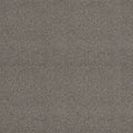 Shaw Floors - Carpet - Simply The Best  - Attainable - Cedar Ridge