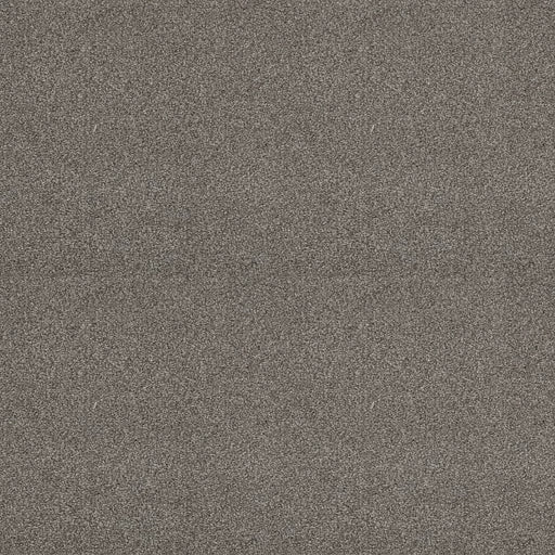 Shaw Floors - Carpet - Simply The Best  - Attainable - Cedar Ridge