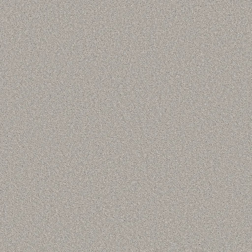 Shaw Floors - Carpet - Simply The Best  - TRUSOLUTIONS III - Clear Sky