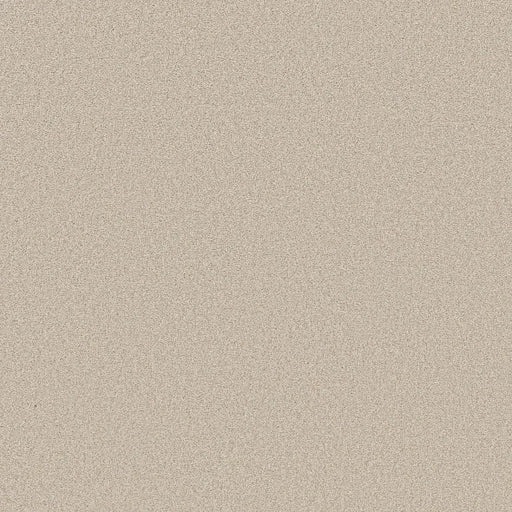 Shaw Floors - Carpet- Foundations Collection - HARMONIOUS II - Champagne Toast