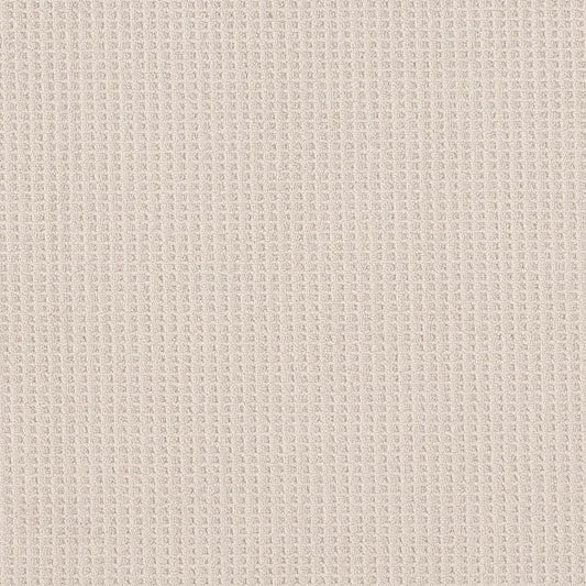 Shaw Floors - Carpet - Foundations Collection - Faint Intent - Champagne Toast