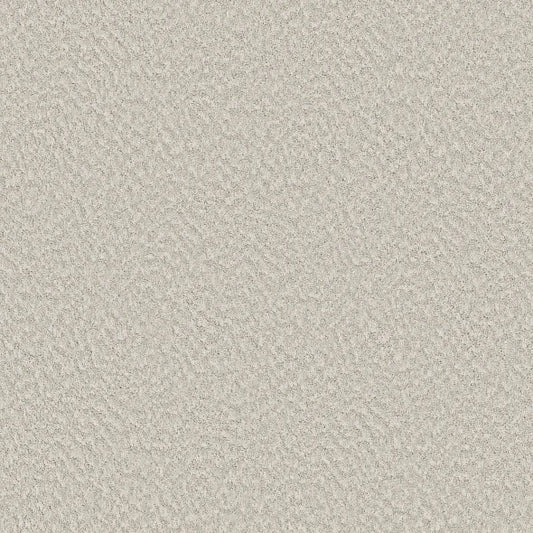 Shaw Floors - Carpet - Foundations Collection  - Alluring Canvas - Champagne Toast