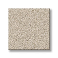 Shaw Floors - Carpet- Foundations Collection - HARMONIOUS II - Champagne Toast