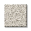 Shaw Floors - Carpet - Foundations Collection  - Alluring Canvas - Champagne Toast