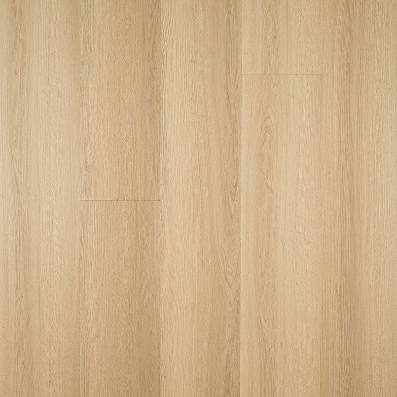 MSI Surfaces - Laurel Reserve Collection - Cabana