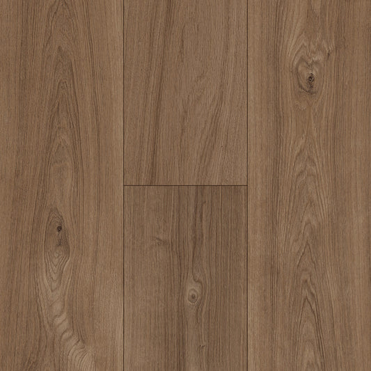 InHaus - Ceramin® - Icon Collection - Callister