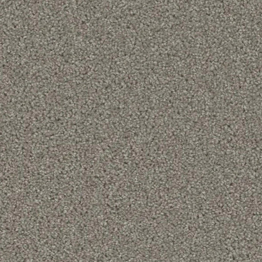 ACORN DESIGN - PACIFIC RIM COLLECTION - 24OZ CUT PILE CARPET - CANOPY
