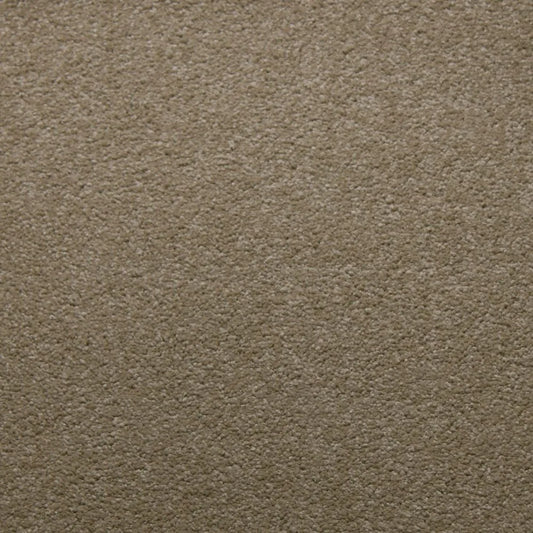 Primco - Estates Carpet - Soft Spoken Collection - Canvas 3