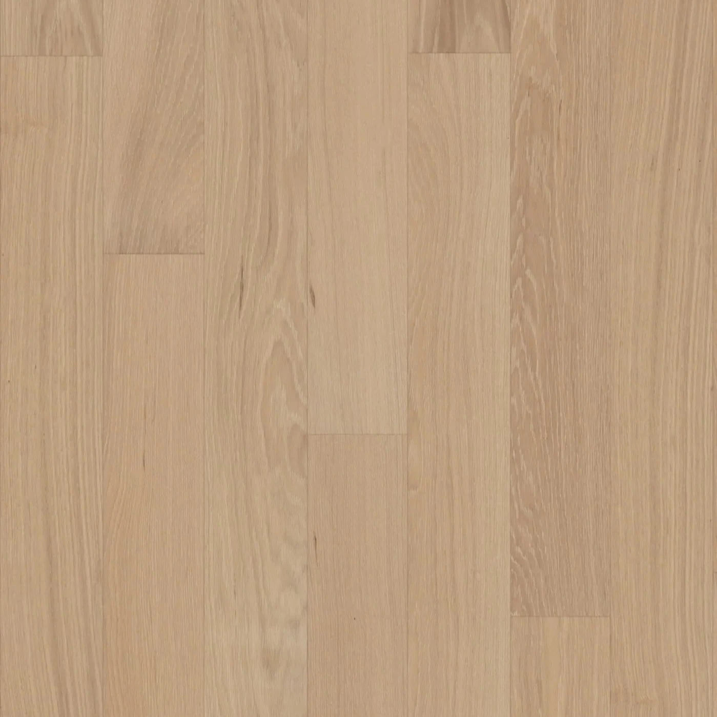 GoodFellow Ocean Falls Collection Cathedral