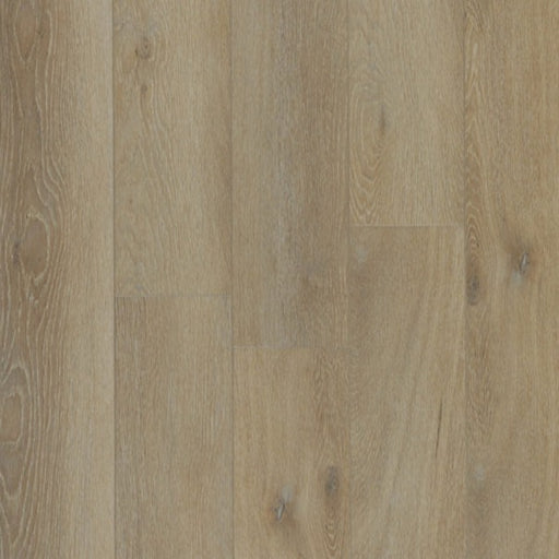 TAIGA - Stonewear+ Collection - Celadon