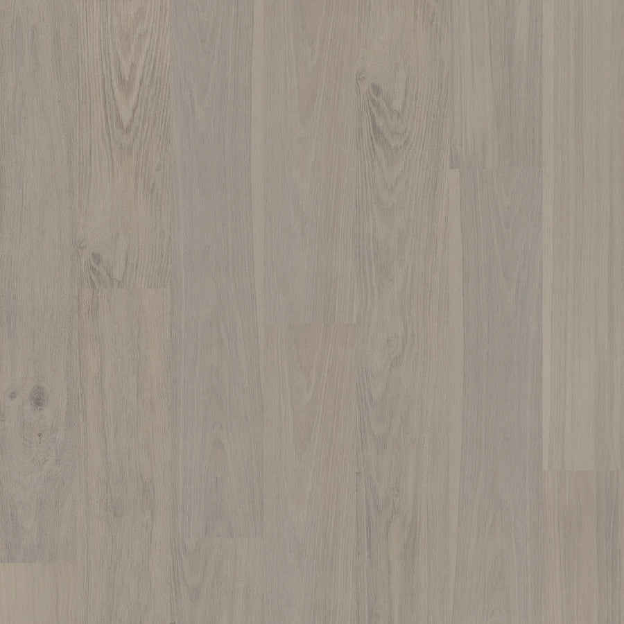 BIYORK - Nouveau 6 Collection - Cervino