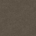 Shaw Floors - Simply The Best - Shaw Floors - TruSpirit II - Chestnut