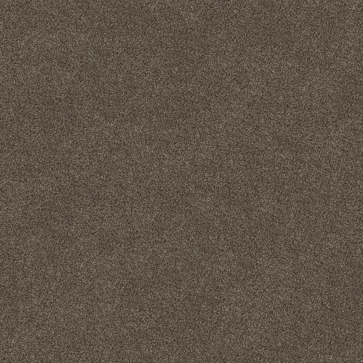 Shaw Floors - Simply The Best - Shaw Floors - TruSpirit II - Chestnut