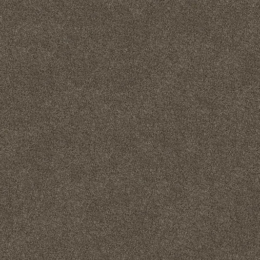 Shaw Floors - Simply The Best - Shaw Floors - TruSpirit II - Chestnut