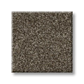 Shaw Floors - Simply The Best - Shaw Floors - TruSpirit I - Chestnut