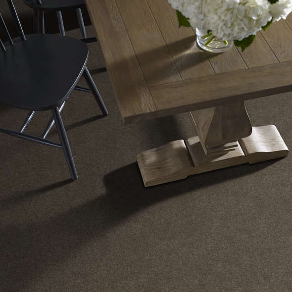 Shaw Floors Simply The Best Shaw Floors TruSpirit II Chestnut