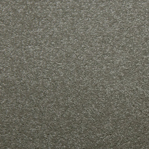 Primco - Estates Carpet - Tender Collection - Chrome