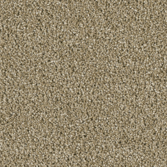 Primco - Estates Carpet - Nobility Collection - Class