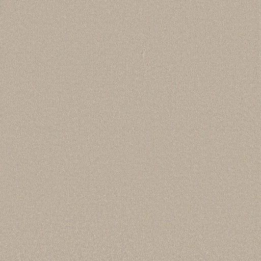 Shaw Floors - Carpet - Classics Collection  - Awaken Spirit II - 12' - Cloud