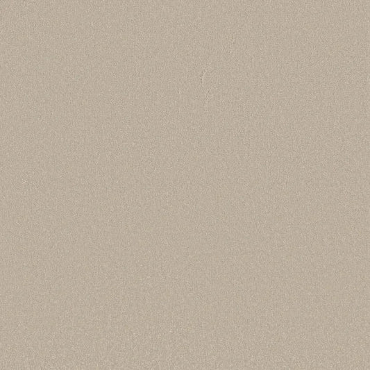 Shaw Floors - Carpet - Classics Collection  - Awaken Spirit II - 15' - Cloud