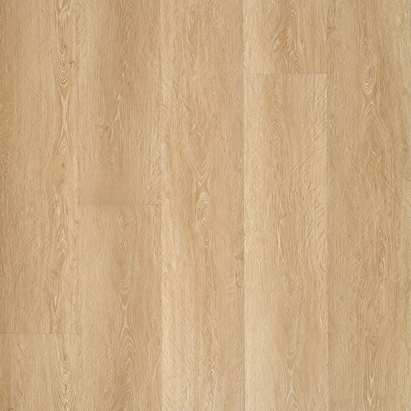 MSI Surfaces - Laurel Reserve Collection - Coastal Cottage