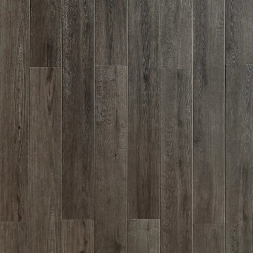 Toucan - SPC902 - Cocoa