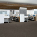 Shaw Floors - 5th & Main Carpet - Knock Out Collection - Competitor