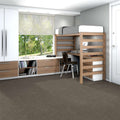 Shaw Floors - 5th & Main Carpet - Knock Out Collection - Competitor
