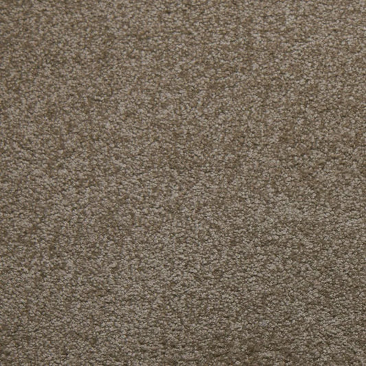 Primco - Estates Carpet - Tender Collection - Composure