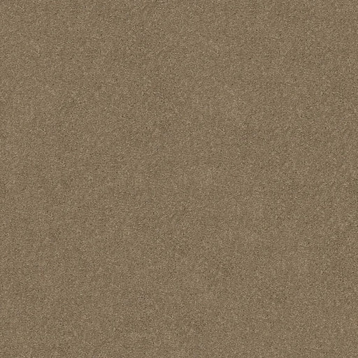 Shaw Floors - Carpet - Simply The Best  - Attainable - Cork