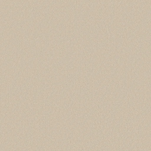 Shaw Floors - Carpet - Classics Collection  - Awaken Spirit I 12' - Cottage