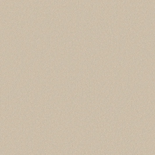 Shaw Floors - Carpet - Classics Collection  - Awaken Spirit II - 15' - Cottage