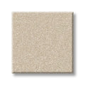 Shaw Floors - Carpet - Classics Collection  - Awaken Spirit I 12' - Cottage