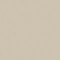 Shaw Floors - Carpet - Classics Collection  - Awaken Spirit I 12' - Cream