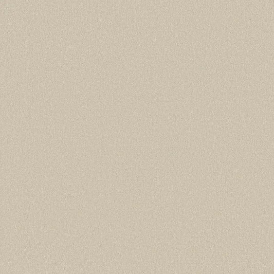 Shaw Floors - Carpet - Classics Collection  - Awaken Spirit I 12' - Cream