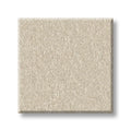 Shaw Floors - Carpet - Classics Collection  - Awaken Spirit I 12' - Cream