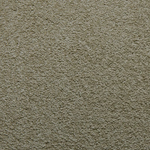 Primco - Estates Carpet - Soft Spoken Collection - Crystalline