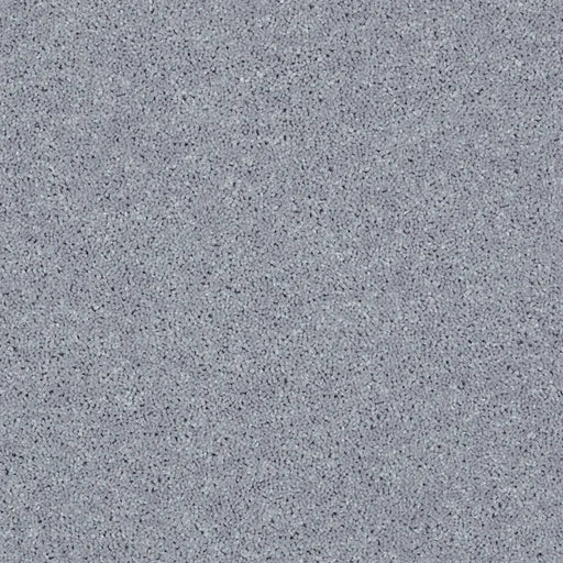 Shaw Floors - Carpet - Full Court 12' - Dolphin