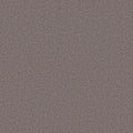 Shaw Floors - Carpet- Foundations Collection - HARMONIOUS II - Deep Connection