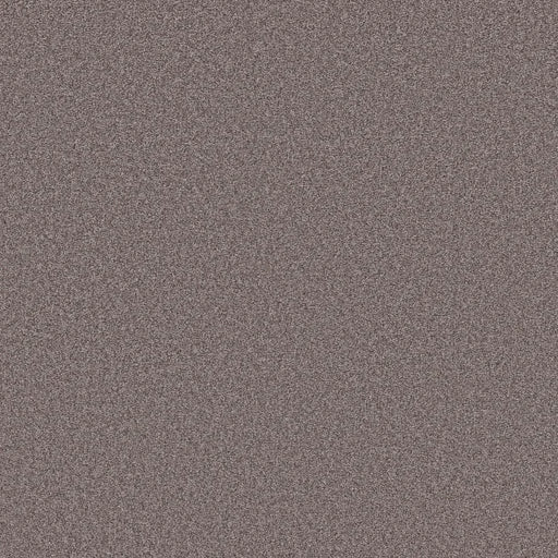 Shaw Floors - Carpet- Foundations Collection - HARMONIOUS II - Deep Connection