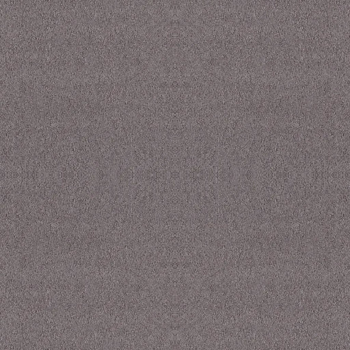 Shaw Floors - Carpet - Foundations Collection  - Alluring Canvas - Deep Connection