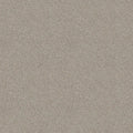 Shaw Floors - Carpet - Simply The Best  - Attainable - Desert Light