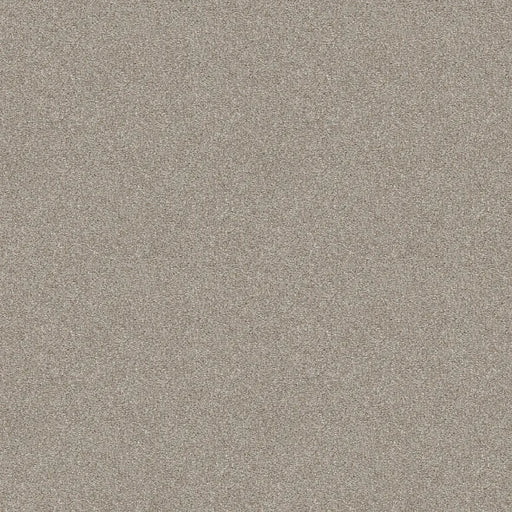 Shaw Floors - Carpet - Simply The Best  - Attainable - Desert Light