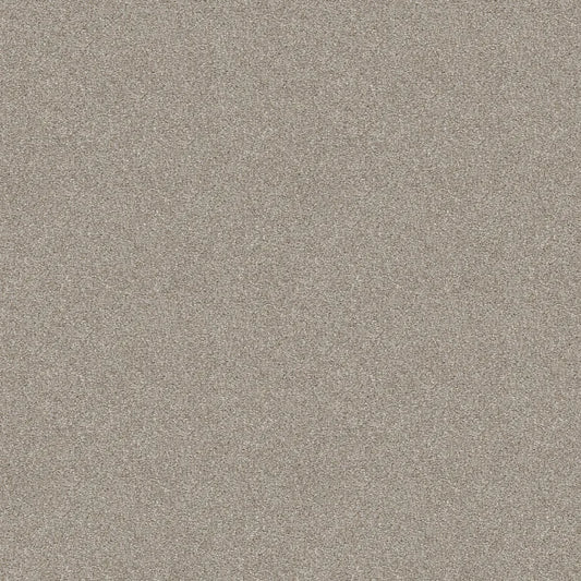 Shaw Floors - Carpet - Simply The Best  - Attainable - Desert Light