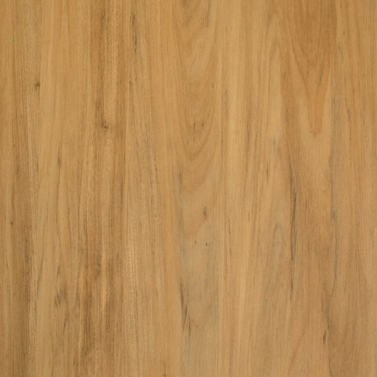 Grandeur Flooring - Timeless Collection - Acacia